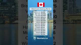 One Bedroom Asking Rents in Canada  August 2024 housingmarket rentals apartments [upl. by Ilahsiav]