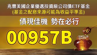 兆豐美國企業優選投資級公司債ETF基金 [upl. by Gervais]