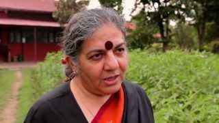 Vandana Shiva Who Feeds the World [upl. by Pontone938]