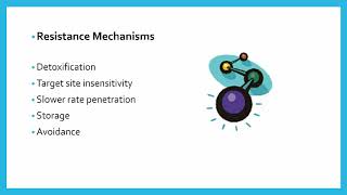 Insecticide Resistance [upl. by Dolhenty788]