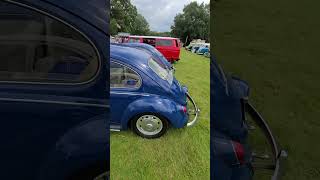 A lovely pair of 67 Beetles at the Volksweald show vwbeetle aircooled beetle vwbug Volksweald [upl. by Havstad]