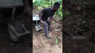 How to load a wheelbarrow with sand👏 [upl. by Eelirem]