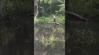 Bass fishing in farm pond [upl. by Xella]