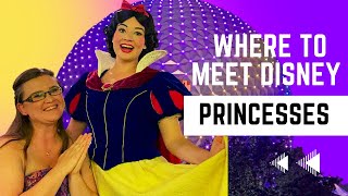 Where To Meet Disney Princesses at Walt Disney World  EPCOT Akershus Royal Banquet Hall [upl. by Eilata659]