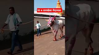 rahul राहुल मथुर mathur bakasur बकासुर maval bailgada बैलगाडा bharatmahibya [upl. by Itnaihc285]