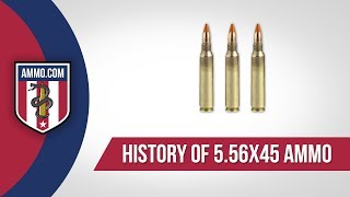 223 ballistic gel test Hornady VS Nosler [upl. by Lhary255]