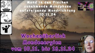 Wochenüberblick der Mondenergien vom 1011 bis 161124 [upl. by Yraccaz]