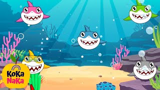 Baby Shark Doo Doo Doo Dance  KoKa NaKa Nursery Rhymes amp Kids songs [upl. by Gunas]