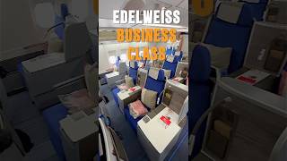 Edelweiss Business Class Das ist also unser Langstreckenflug was eigentlich ein Zubringer ist [upl. by Ahsropal]