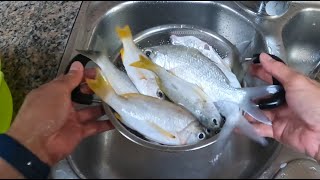 FRESH FISH CLEAN AND COOK SILVERBIDDY FISH ONE SPOT SNAPPER AND GROUPER [upl. by Aivatnahs]