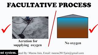 Facultative process  Facultative bacteria for wastewater treatment [upl. by Parris958]