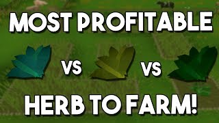 What is the Most Profitable Herb to Farm OSRS An Oldschool Runescape Farming Guide [upl. by Giacinta]