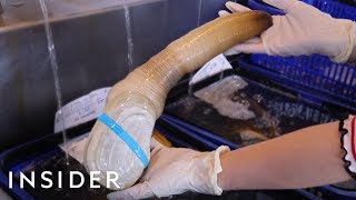 We Tried Geoduck — Worlds Biggest Burrowing Clam [upl. by Dustie]