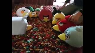 Peluche TV  Angry Birds quotEl viajequot [upl. by Pylle296]