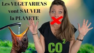 VEGETARIEN 13  La vérité  3 RAISONS Qui Vont Vous CONVAINCRE De Changer Votre Alimentation [upl. by Ylrebnik153]