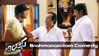 Brahmanandam Back To Back Comedy  Bindaas Movie Comedy Scenes  Raghu Babu Comedy [upl. by Analem]