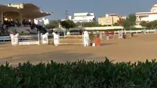 Babiole des forets jump off 1m45 premiere place [upl. by Oznole928]