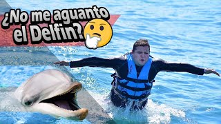 IMITANDO CON DELFINES  HABLE CON ELLOS [upl. by Naharba]