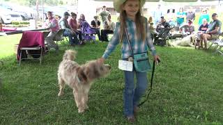 Honaker Redbud Festival 2023  Pet Show [upl. by Mirak991]