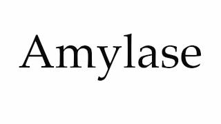 How to Pronounce Amylase [upl. by Ablasor46]