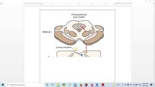 24 Pain analgesia system [upl. by Ellenid]