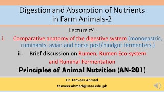 Lecture4Comparative anatomy of the digestive systemLecture Series in Animal Nutrition [upl. by Aerdnod733]