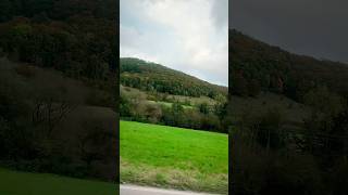 Who else love nature as i nature yoga youtube trendingshorts views germany [upl. by Enrico]