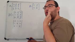 Determinantes 2x2 3x3 Método de cofactores  Algebra lineal Universidad Video 86 [upl. by Fatma]