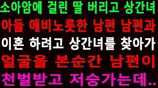 소아암에 걸린 딸 버리고 상간녀 아들 애비노릇한 남편 남편과 이혼 하려고 상간녀를 찾아가 얼굴을 본순간 남편이 천벌받고 저승가는데  반전 사이다사연 [upl. by Nowahs569]