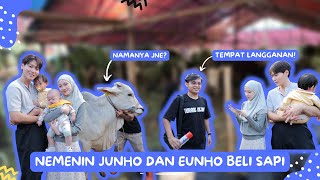 ALHAMDULILLAH TAHUN INI BISA QURBAN LAGI [upl. by Broder108]