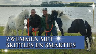 Een frisse duik maken met Skittles en Smarties  PaardenpraatTV [upl. by Hagep772]