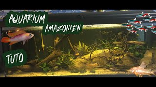 TUTO Aquarium 120 L Amazonien [upl. by Llertnod]