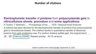 Tubulin or Not Tubulin Heading towards total protein staining as a loading control in [upl. by Ruon]