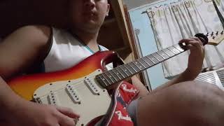 Squier Vintage Modified vs Tagima TG530 [upl. by Kizzie99]