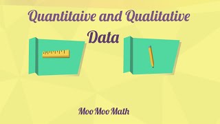 Qualitative and Quantitative Data [upl. by Arbmahs1]