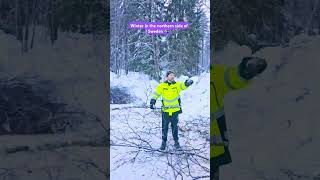 winter youtubeshorts sweden pajala [upl. by Anes]