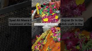 New mira datar dargah qawwali video 2024 WhatsApp status [upl. by Reni]