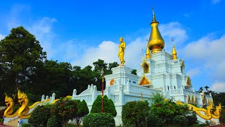 World Peace Pagoda Analayo [upl. by Pitts725]