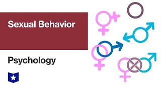 Sexual Behavior  Psychology [upl. by Gusta128]