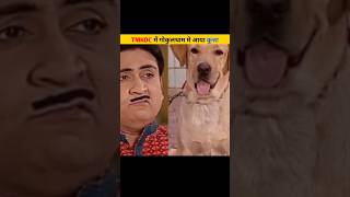 Tmkoc ka kutaa jethalal bi like 😱tmkoc short [upl. by Oznole732]