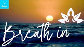 Breathing With The Ocean  Sunset Beach Meditation ASMR [upl. by Veriee909]