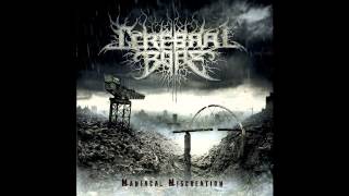 Cerebral Bore  Epileptic Strobe Entrapment Official Audio [upl. by Three]