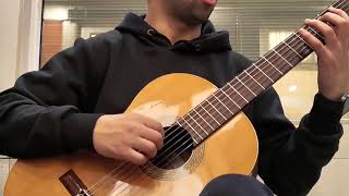 Segovia Scales  Two Octave C Major [upl. by Morse]