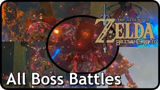 The Legend of Zelda Breath of the Wild Switch  All Boss Battles [upl. by Jaella205]