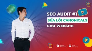 SEO Audit 4 Hướng dẫn sữa lỗi canonicals canonicalised [upl. by Alehtse]