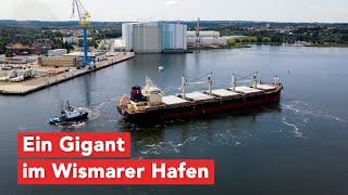 Tomini Kaimai gigantischer Massengutfrachter in Wismar [upl. by Kiyohara736]