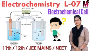 Electrochemical Cell and Cell Representation Class11 Ch8Class12 Ch2 chemistry [upl. by Attaymik]