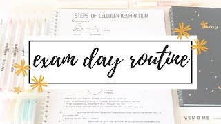 Exam Day Routine amp Tips  studytee [upl. by Rramaj]