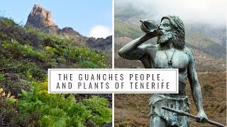 The Guanches People and Native Plants of Tenerife Canary Islands History Medicinal plants [upl. by Leafar228]