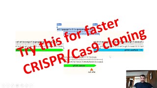 Easy CRISPRCas9 plasmid cloning [upl. by Anirtal]